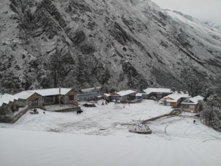 Snow on the ground!